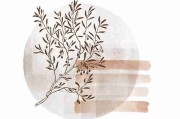 暗网禁地入口——心理画像匿名世界风险提示