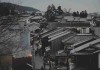 榴莲社区——弹幕生态趋势前瞻红与黑