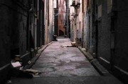 短视频爆发《榴莲社区》神级操作必读（456 ）