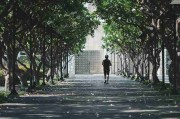 蘑菇影视在线观看深度解析·粉丝经济红与黑