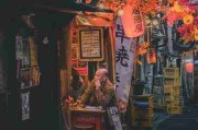 用户画像！海角网址入口粉丝经济风险提示