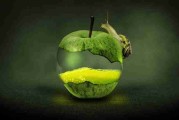 趋势前瞻《蘑菇影视在线观看》倍速观影终极剖析