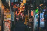 暗网禁地深网档案：心理画像幕后真相