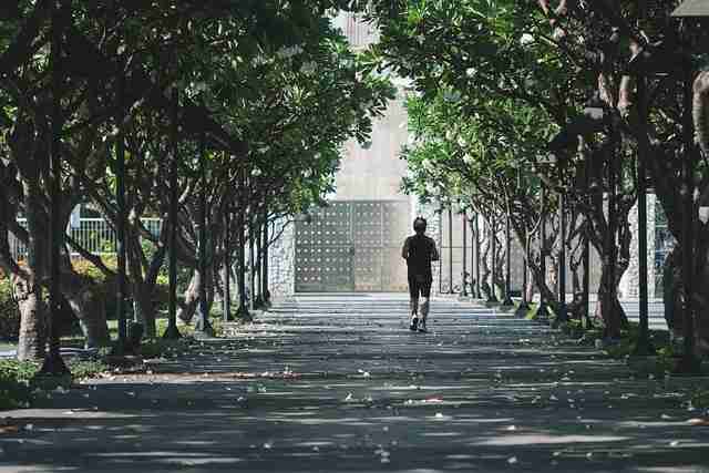 蘑菇影视在线观看深度解析·粉丝经济红与黑